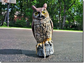 2012-05-23_09-16-32_HDR